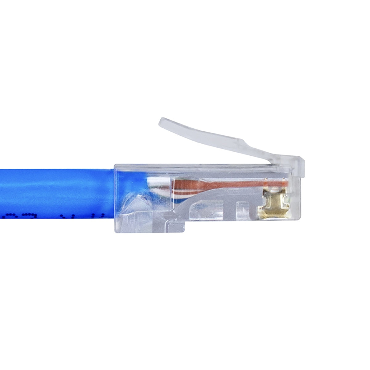IC Realtime S45-1000 Standard CAT5E UTP RJ45 Modular Plugs, Blue Tint - image 7